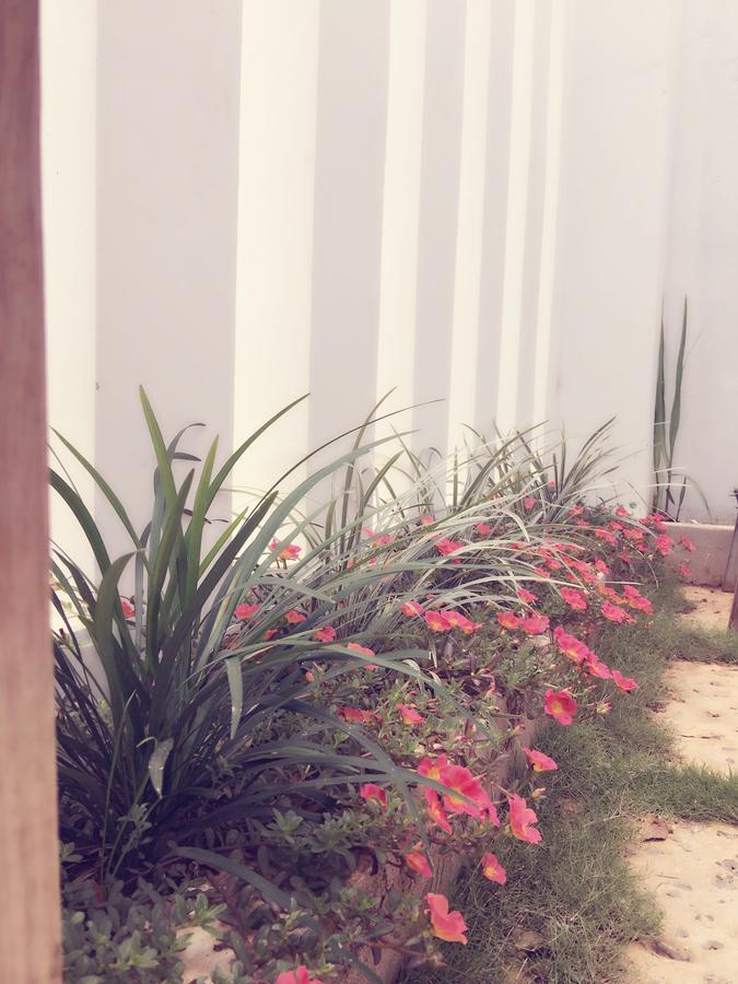 Hani House Pleiku Dış mekan fotoğraf